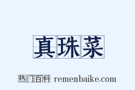真珠菜是什么意思的图片